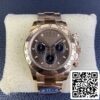 2 47 fd30bfcb cd30 4eac b5e6 57b4a9ca0649 ロレックス コスモグラフ デイトナ M116505-0013 1:1 ベストエディション クリーンファクトリー ローズゴールド